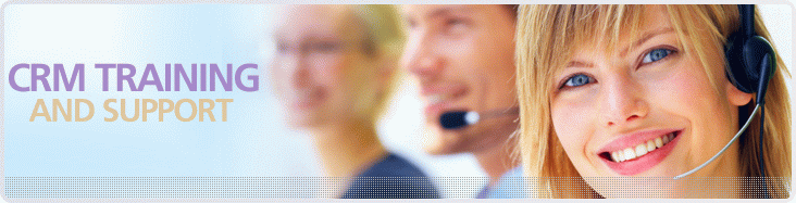 on demand hosted CRM software / web-based SFA instant messenging service software